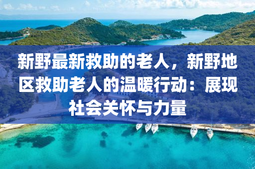 新野最新救助的老人，新野地區(qū)救助老人的溫暖行動(dòng)：展現(xiàn)社會(huì)關(guān)懷與力量