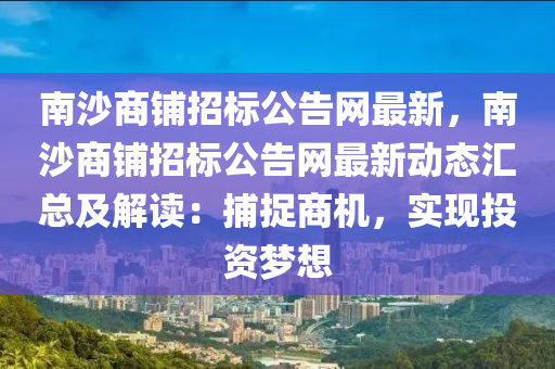 南沙商鋪招標公告網最新，南沙商鋪招標公告網最新動態(tài)匯總及解讀：捕捉商機，實現(xiàn)投資夢想