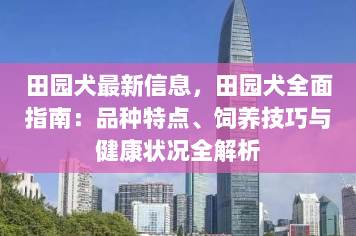 田園犬最新信息，田園犬全面指南：品種特點(diǎn)、飼養(yǎng)技巧與健康狀況全解析