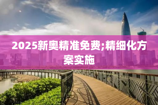 2025新奧精準免費;精細化方案實施