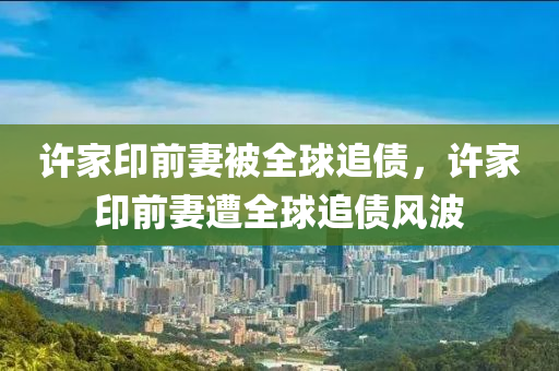 許家印前妻被全球追債，許家印前妻遭全球追債風(fēng)波木工機(jī)械,設(shè)備,零部件