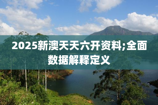 2025新澳天天六開資料;全面數(shù)據(jù)解釋定義