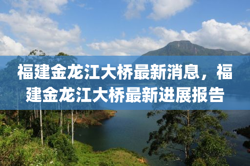 福建金龍江大橋最新消息，福建金龍江大橋最新進展報告