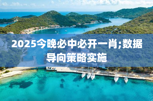 2025今晚必中必開一肖;數(shù)據(jù)導向策略實施