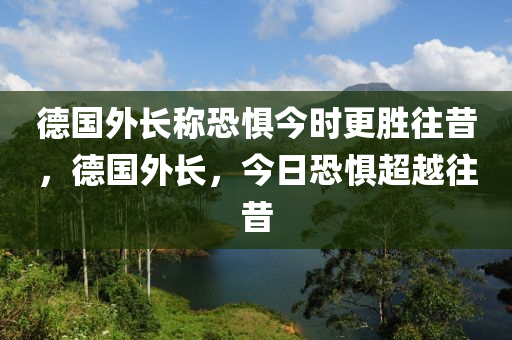 德國外長稱恐懼今時更勝往昔，德國外長，今日恐懼超越往昔木工機(jī)械,設(shè)備,零部件