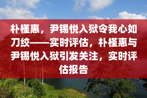 樸槿惠，尹錫悅入獄令我心如刀絞——實時評估，樸槿惠與尹錫悅入獄引發(fā)關注，實時評估報告木工機械,設備,零部件