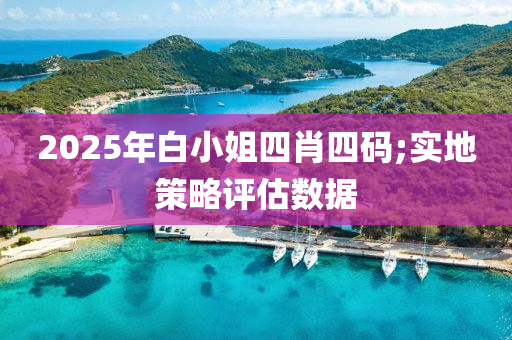 2025年白小姐四肖四碼;實地策略評估數(shù)據(jù)