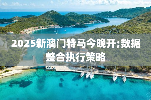 2025新澳門特馬今晚開;數(shù)據(jù)整合執(zhí)行策略