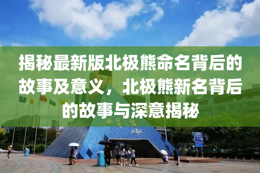 揭秘最新版北極熊命名背后的故事及意義，北極熊新名背后的故事與深意揭秘