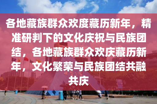 各地藏族群眾歡度藏歷新年，精準(zhǔn)研判下的文化慶祝與民族團(tuán)結(jié)，各地藏族群眾歡慶藏歷新年，文化木工機(jī)械,設(shè)備,零部件繁榮與民族團(tuán)結(jié)共融共慶