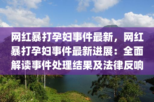 網(wǎng)紅暴打孕婦事件最新，網(wǎng)紅暴打孕婦事件最新進展：全面解讀事件處理結(jié)果及法律反響