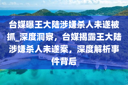 臺(tái)媒曝王大陸涉嫌殺人未遂被抓_深度洞察，臺(tái)媒揭露王大陸涉嫌殺人未遂案，深度解木工機(jī)械,設(shè)備,零部件析事件背后