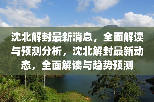 沈北解封最新消息，全面解讀與預測分析，沈北解封最新動態(tài)，全面解讀與趨勢預測