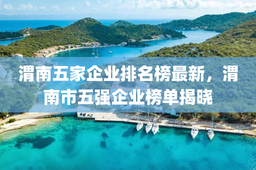 渭南五家企業(yè)排名榜最新，渭南市五強(qiáng)企業(yè)榜單揭曉木工機(jī)械,設(shè)備,零部件