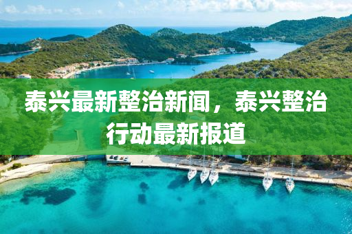 泰興最新整治新聞，泰興整治行動(dòng)最新報(bào)道