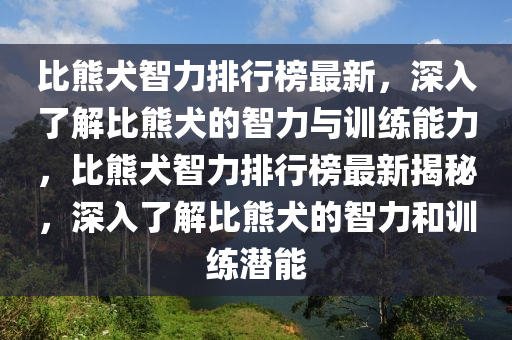 比熊犬智力排行榜最新，深入了解比熊犬的智力與訓(xùn)練能力，比熊犬智力排行榜最新揭秘，深入了解比熊犬的智力和訓(xùn)練潛能