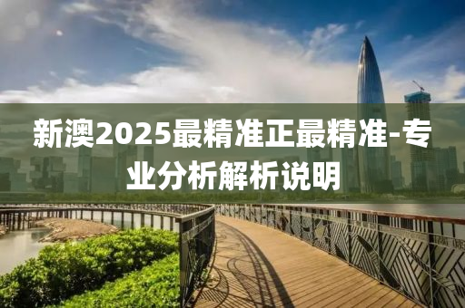 新澳2025最精準正最精準-專業(yè)分析解析說明