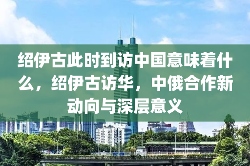 紹伊古此時到訪中國意味著什么木工機械,設備,零部件，紹伊古訪華，中俄合作新動向與深層意義