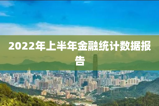 2022年上半年金融統(tǒng)計數(shù)據(jù)報告