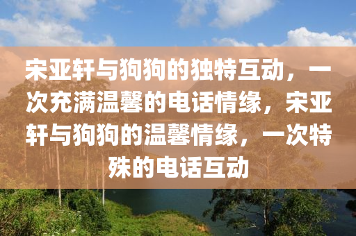 宋亞軒與狗狗的獨特互動，一次充滿溫馨的電話情緣，宋亞軒與狗狗的溫馨情緣，一次特殊的電話互動木工機械,設(shè)備,零部件