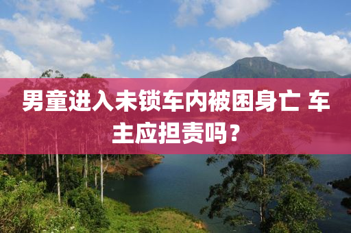 男童進入未鎖車內(nèi)被困身亡 車主應(yīng)擔(dān)責(zé)嗎？