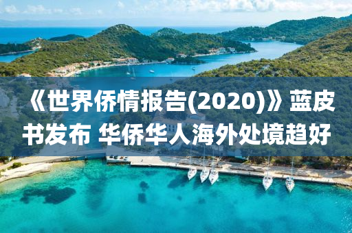 《世界僑情報(bào)告(2020)》藍(lán)皮書(shū)發(fā)布 華僑華人海外處境趨好