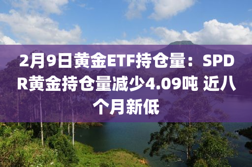 2月9日黃金ETF持倉量：SPDR黃金持倉量減少4.09噸 近八個月新低