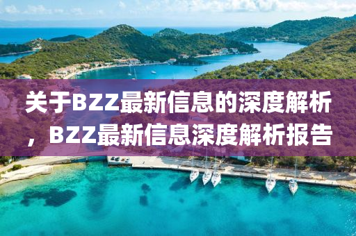 關(guān)于BZZ最新信息的深度解析，BZZ最新信息深度解析報告