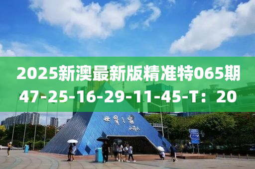 2025新澳最新版精準(zhǔn)特065期47-25-16-29-11-45-T：20