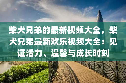 柴犬兄弟的最新視頻大全，柴犬兄弟最新歡樂視頻大全：見證活力、溫馨與成長時刻