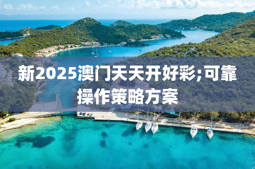 新2025澳門天天開好彩;可靠操作策略方案