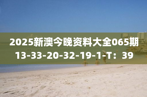 2025新澳今晚資料大全065期13-33-20-32-19-1-T：39