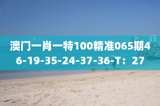 澳門一肖一特100精準(zhǔn)065期46-19-木工機(jī)械,設(shè)備,零部件35-24-37-36-T：27