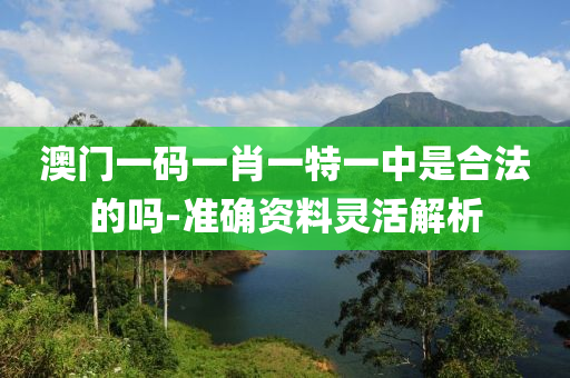 澳門一碼一肖一特一中是合法的嗎-準(zhǔn)確資料靈活解析