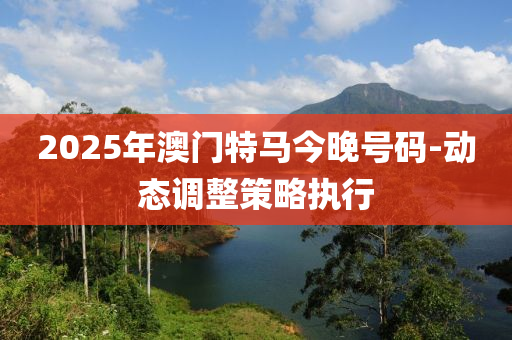 2025年澳門特馬今晚號(hào)碼-動(dòng)態(tài)調(diào)整策略執(zhí)行