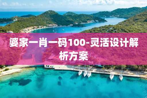 婆家一肖一碼100-靈活設計解析方案