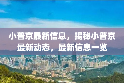 小普京最新信息，揭秘小普京最新動態(tài)，最新信息一覽