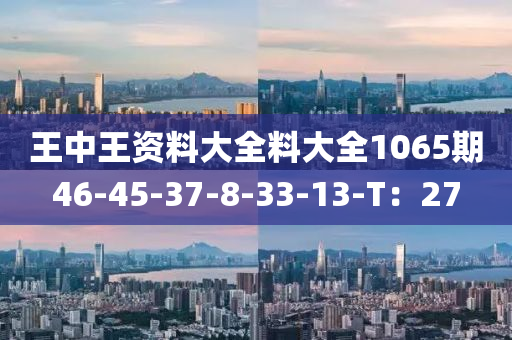 王中王資料大全料大全1065期46-45-37-8-33-13-T：27