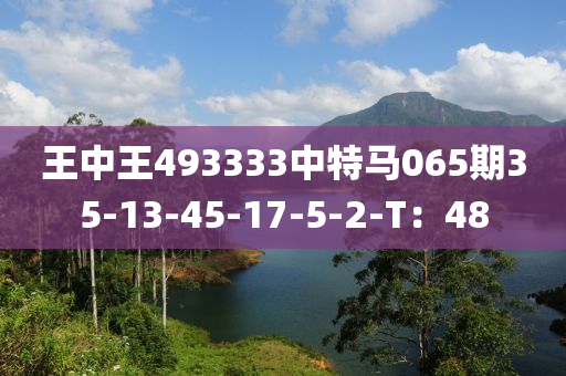 王中王493333中特馬065期35-13-45-1木工機(jī)械,設(shè)備,零部件7-5-2-T：48