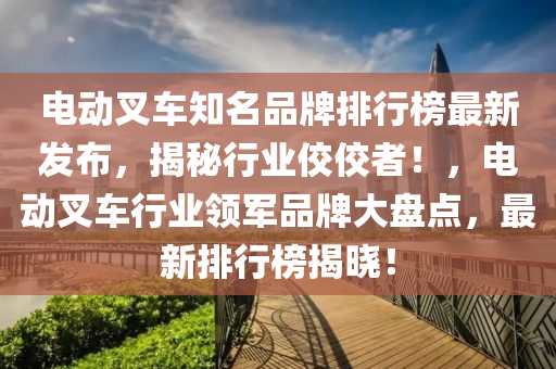 電動叉車知名品牌排行榜最新發(fā)布，揭秘行業(yè)佼佼者！，電動叉車行業(yè)領軍品牌大盤點，最新排行榜揭曉！