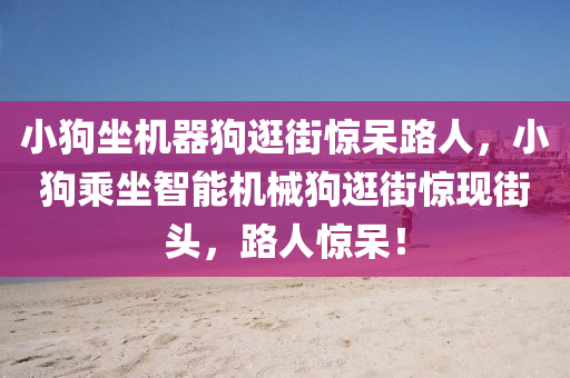 小狗坐機器狗逛街驚呆路人，小狗乘坐智能機械狗逛街驚現(xiàn)街頭，路人驚呆！木工機械,設備,零部件