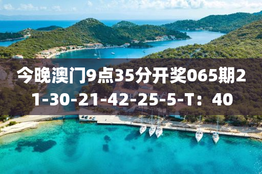 今晚澳門9點35分開獎065期21-30-21-42-25-5-T：40木工機(jī)械,設(shè)備,零部件