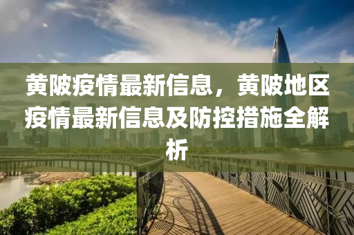 黃陂疫情最新信息，黃陂地區(qū)疫情最新信息及防控措施全解析