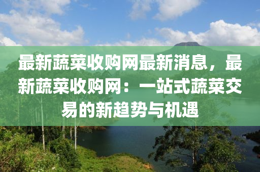 最新蔬菜收購網(wǎng)最新消息，最新蔬菜收購網(wǎng)：一站式蔬菜交易的新趨勢與機遇