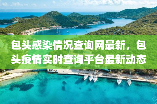 包頭感染情況查詢網(wǎng)最新，包頭疫情實時查詢平臺最新動態(tài)