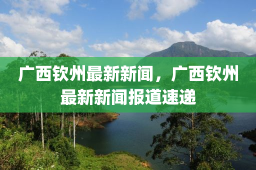 廣西欽州最新新聞，廣西欽州最新新聞報道速遞