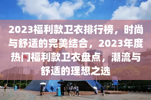 2023福利款衛(wèi)衣排行榜，時尚與舒適的完美結(jié)合，2023年度熱門福利款衛(wèi)衣盤點，潮流與舒適的理想之選