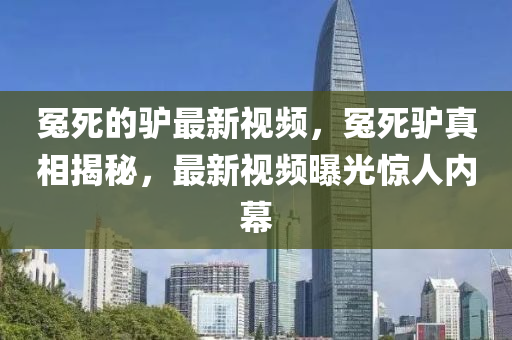 冤死的驢最新視頻，冤死驢真相揭秘，最新視頻曝光驚人內(nèi)幕木工機(jī)械,設(shè)備,零部件