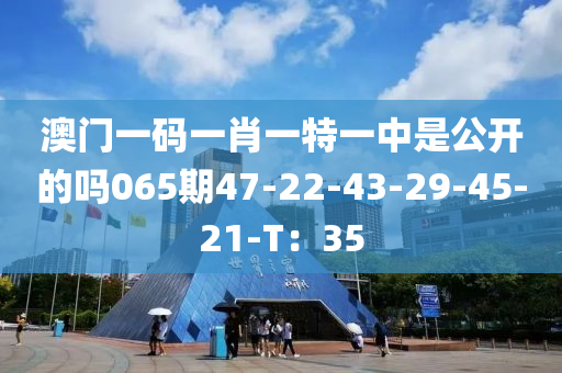 澳門(mén)一碼一肖一特一中是公開(kāi)的嗎065期47-22-43-29-45-21-T：35