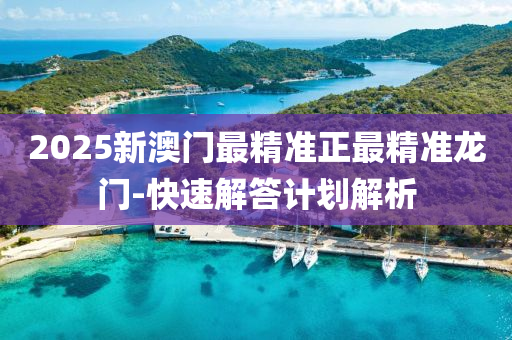 2025新澳門最精準正最精準龍門-快速解答計劃解析